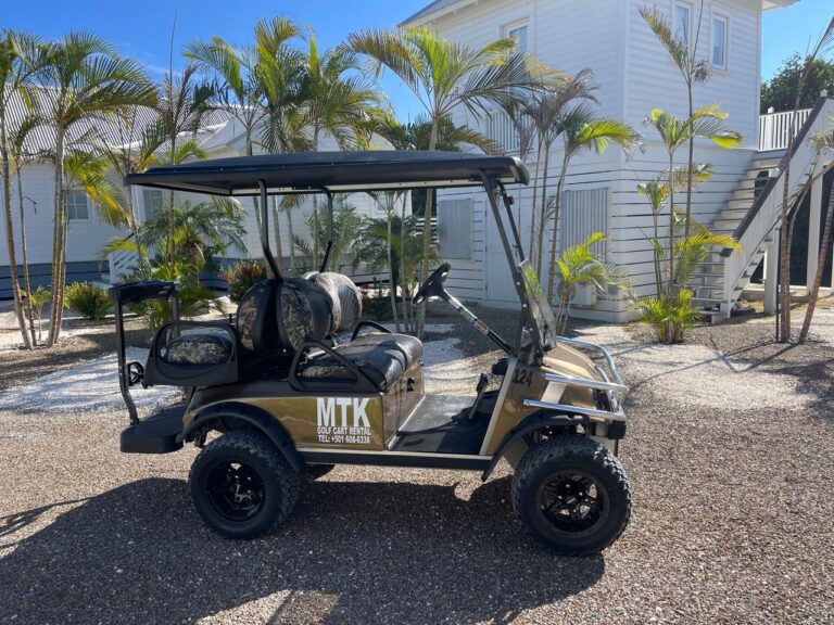 7f537482 41d7 43a0 8c20 469afc04e8c4